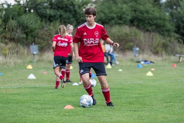 Bild 10 - Frauen SG NieBar - HSV 2 : Ergebnis: 4:3